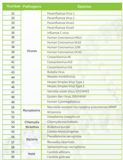 GENETUBE GE4 System 8 resp2