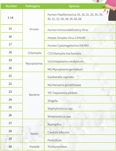 GENETUBE GE4 System 5 sti